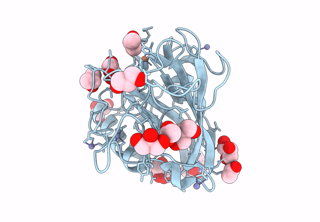 4OPB image