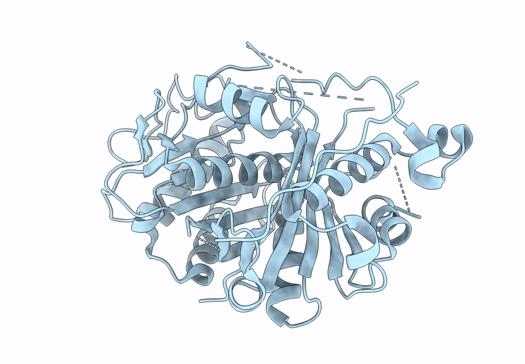 4OPF image