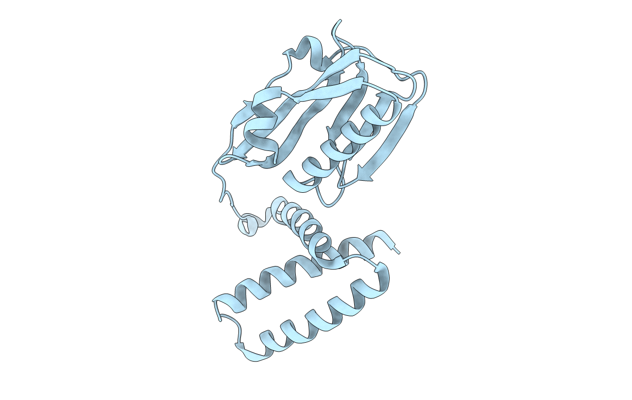 4OPH image