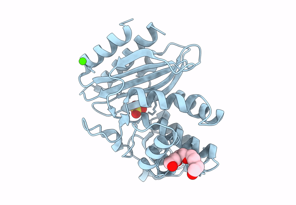 4OPR image