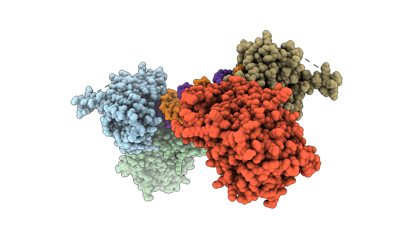 4OPX image