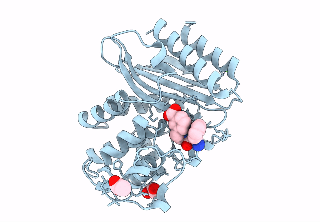 4OPZ image