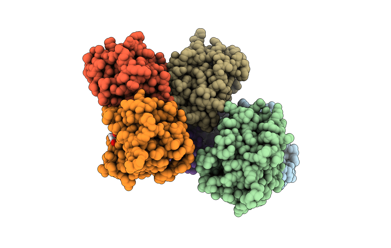 4OQ5 image
