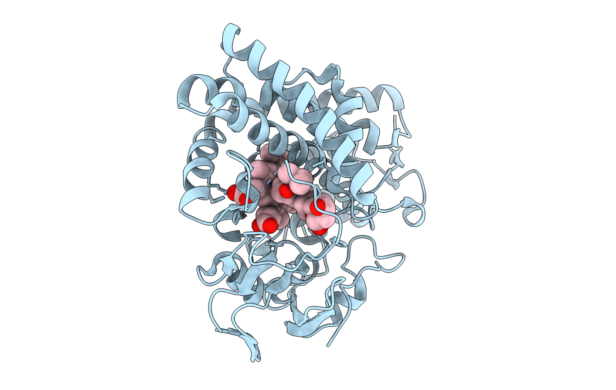 4OQR image