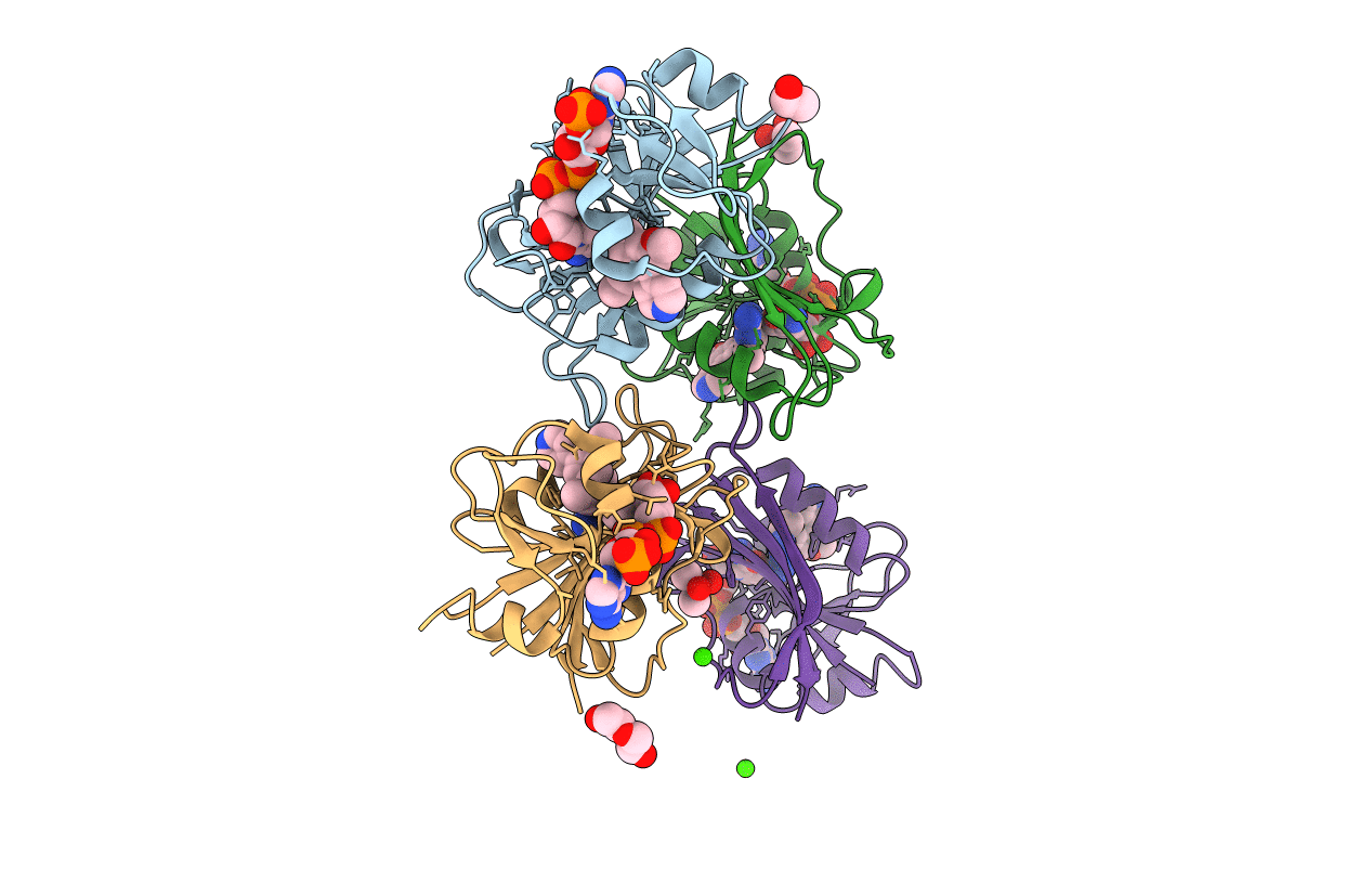 4OSG image