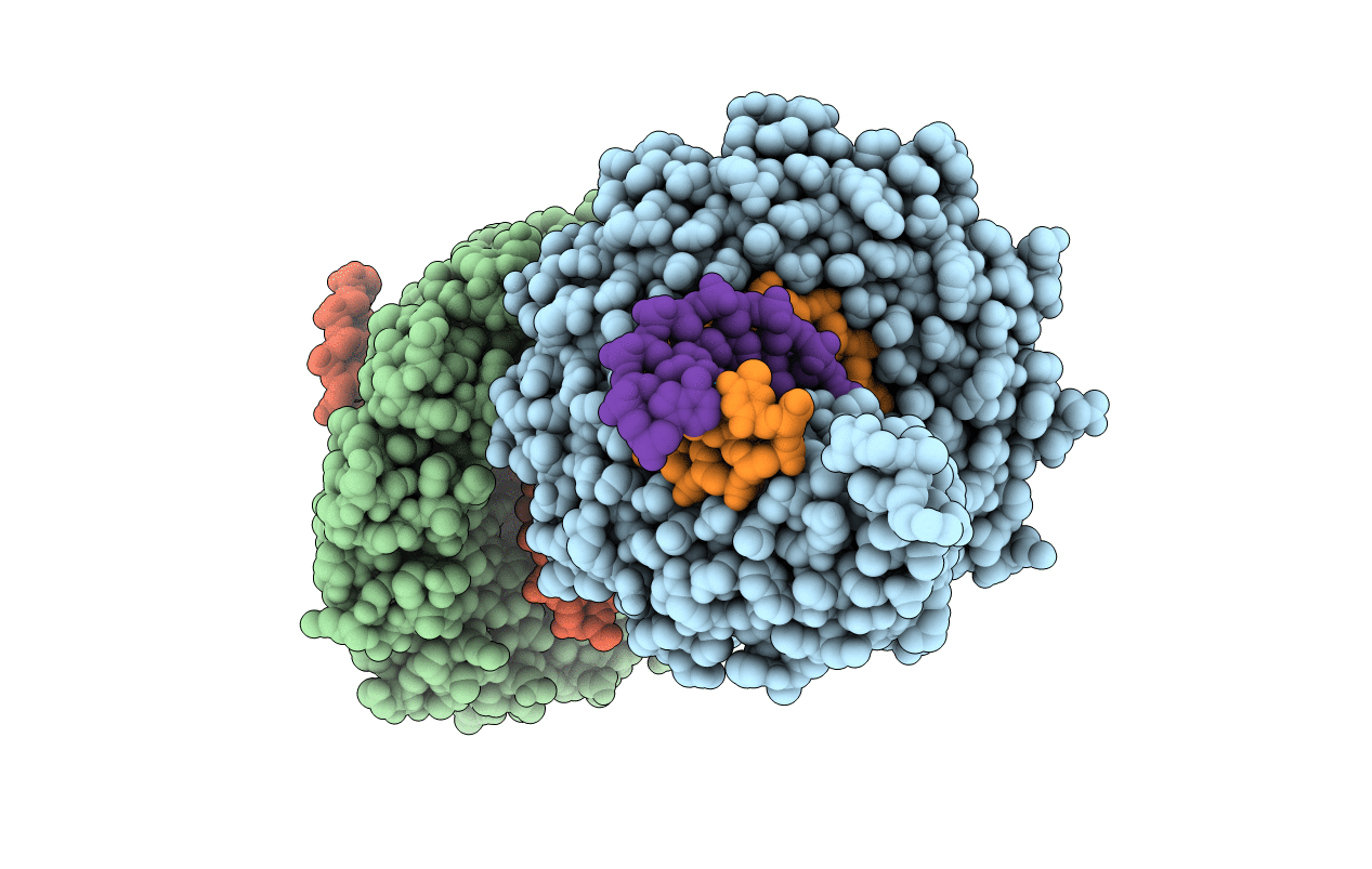 4OSK image