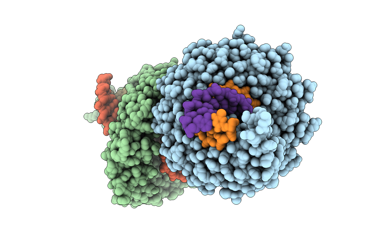 4OSZ image