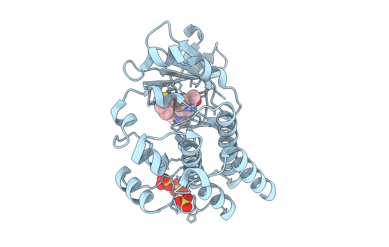4OTF image