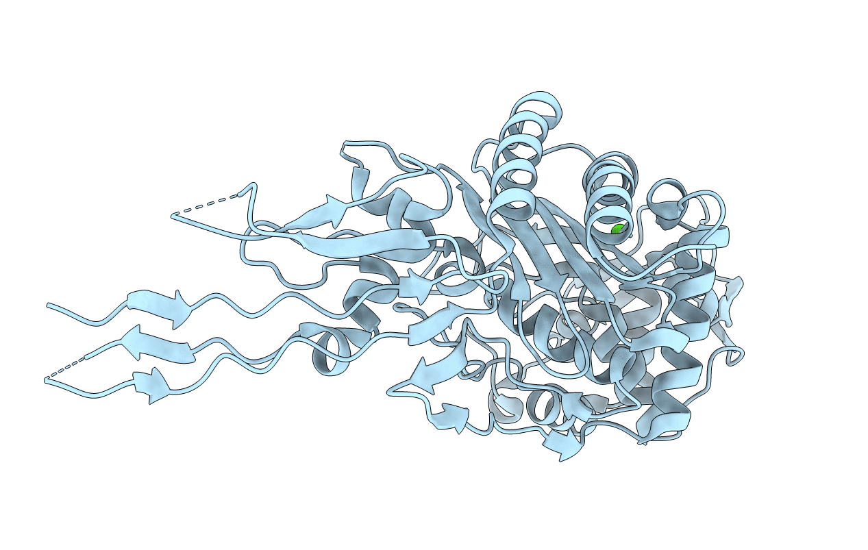 4OVD image