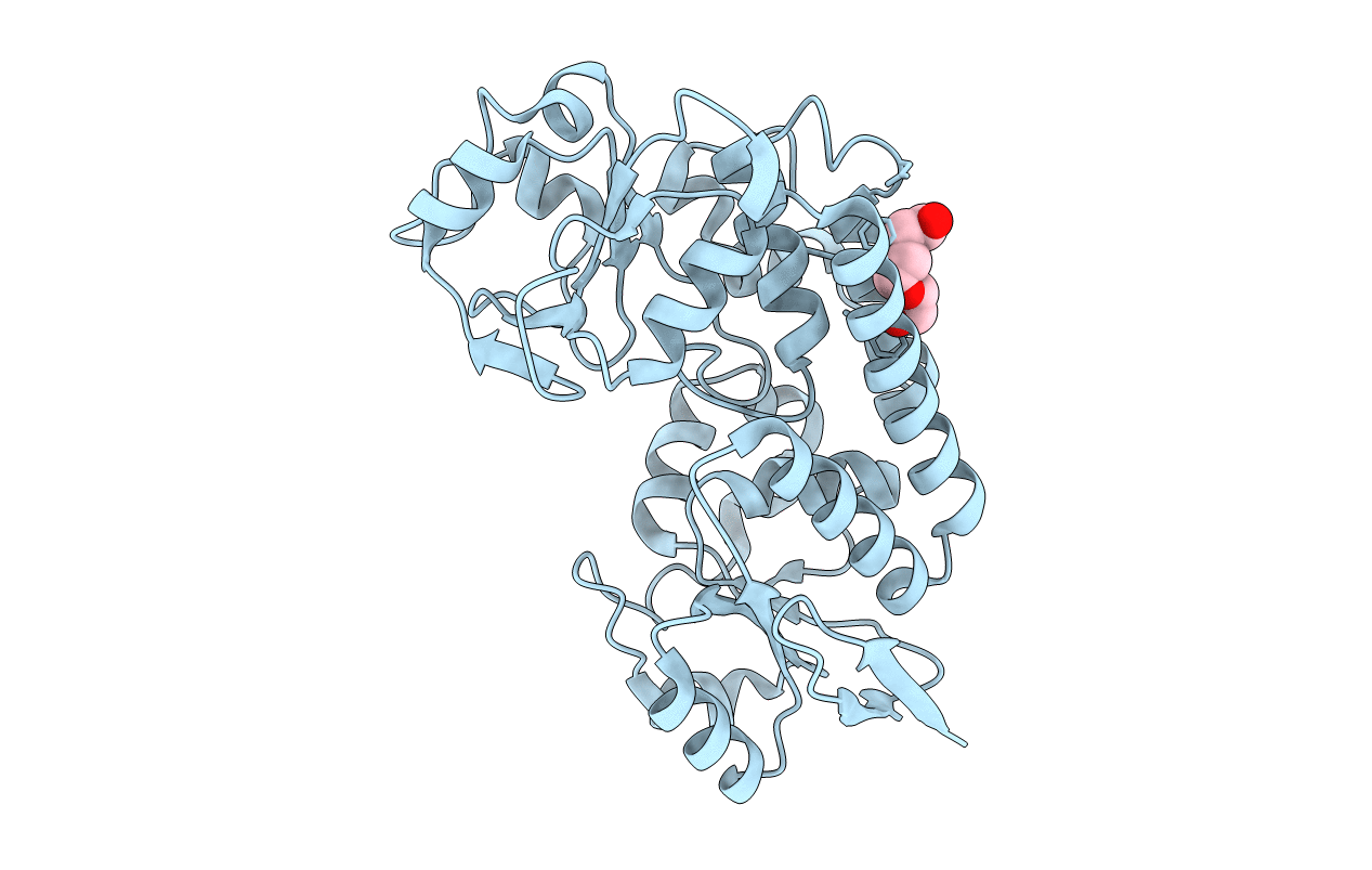 4OVK image