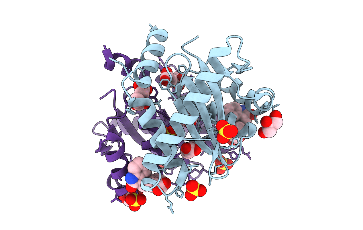 4OVL image