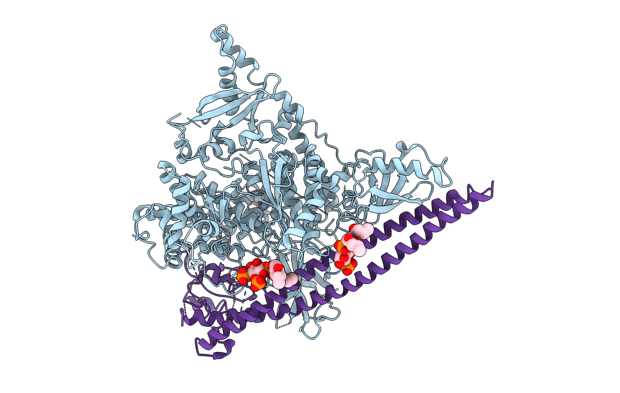 4OVV image