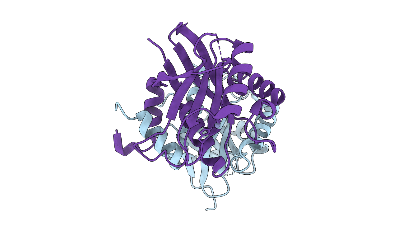 4OWP image