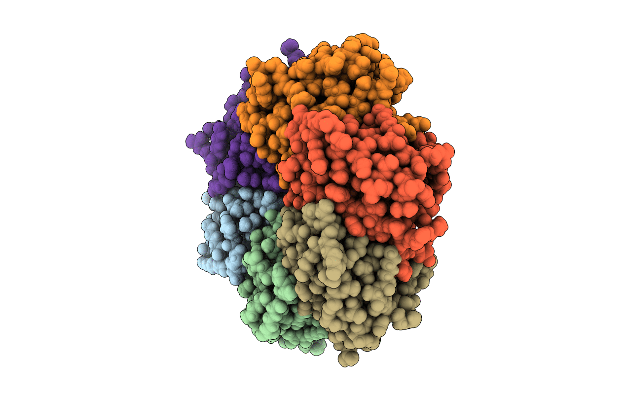 4OX7 image