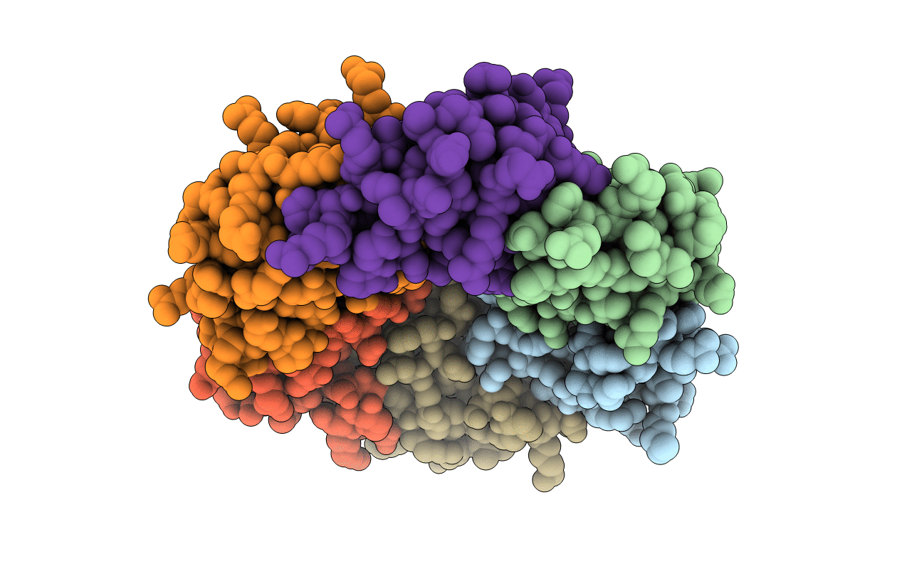 4OX8 image
