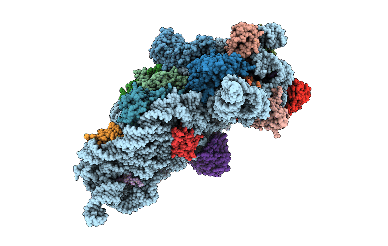 4OX9 image