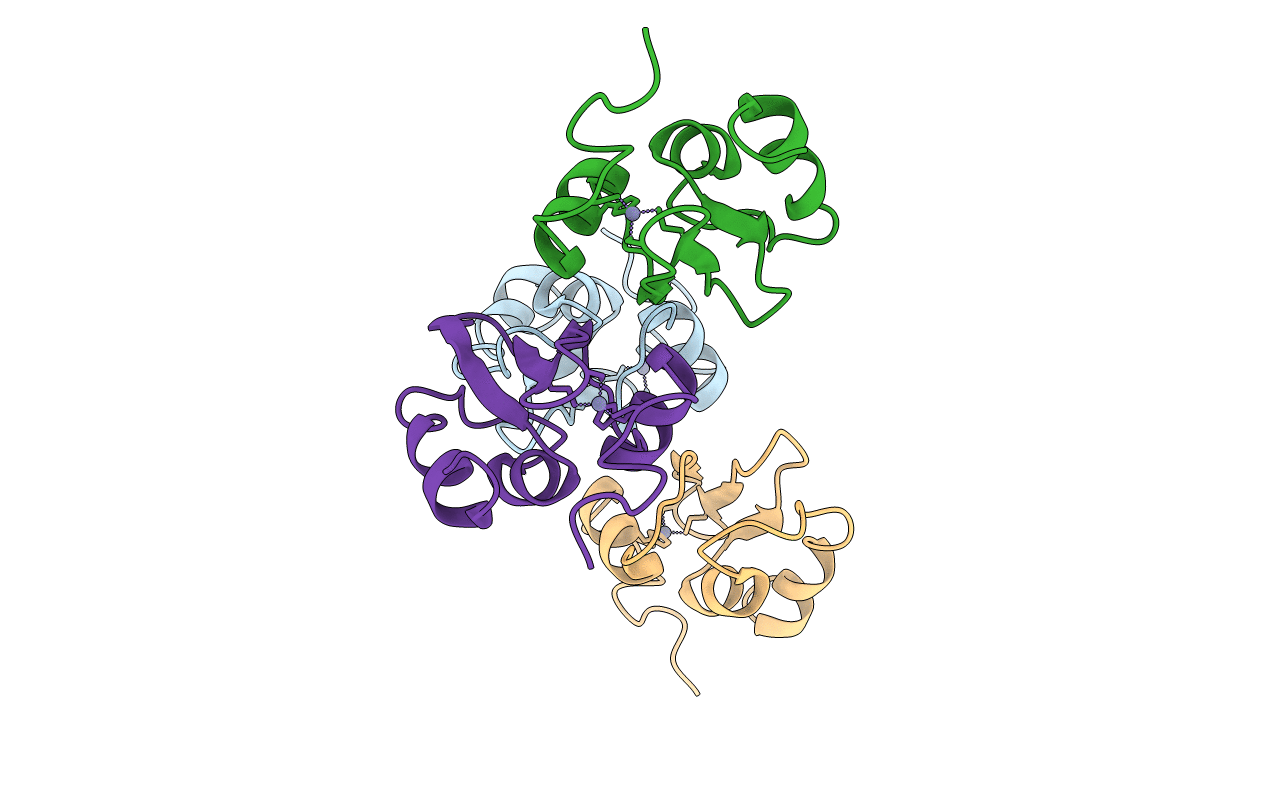 4OXC image