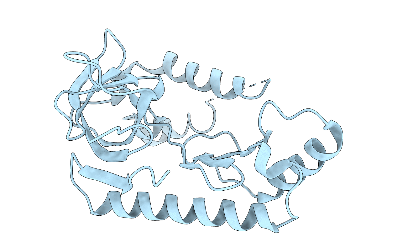 4OXP image