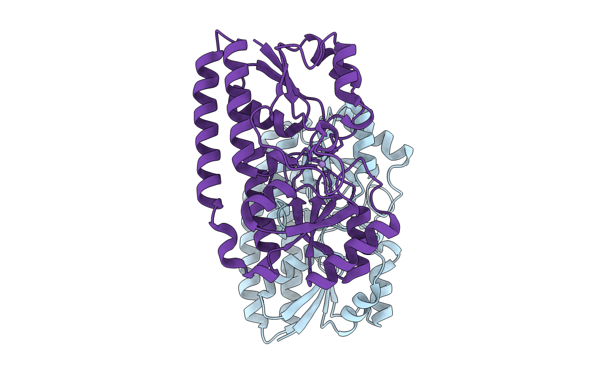 4OXR image
