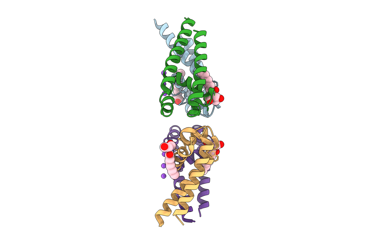4OXS image