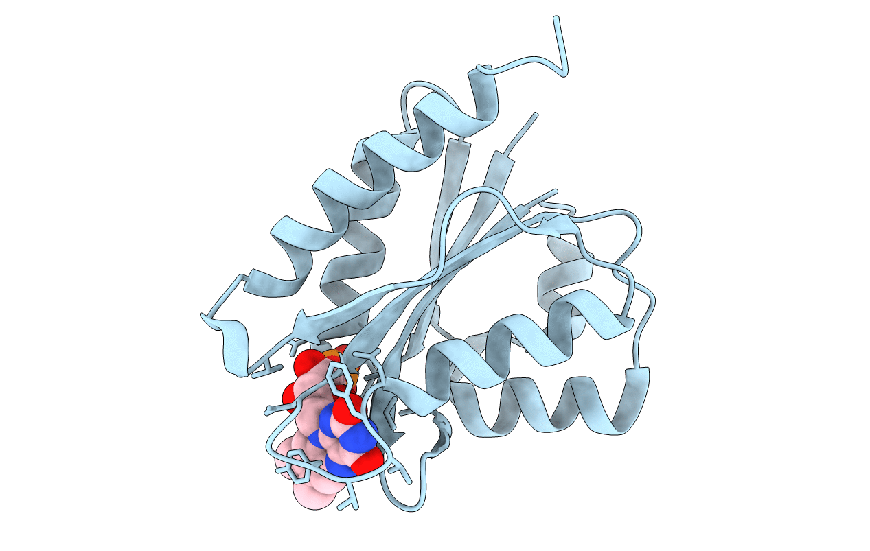 4OXX image