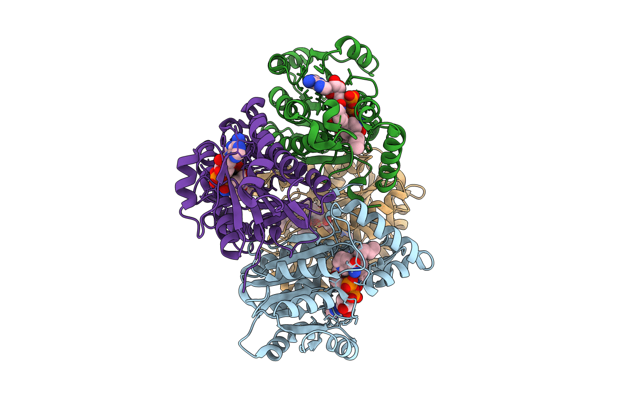4OXY image