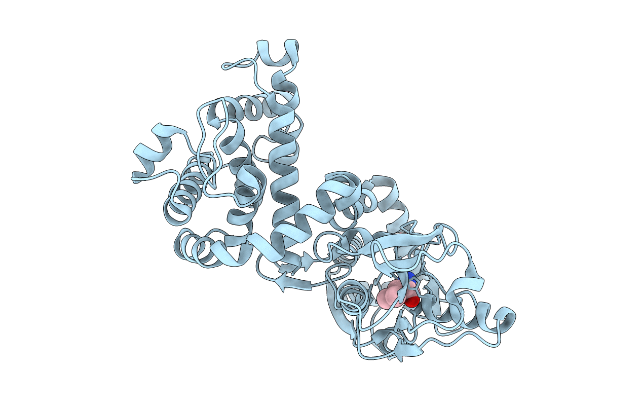 4OYV image