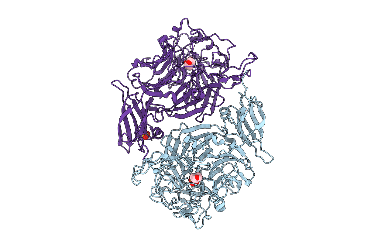 4P04 image
