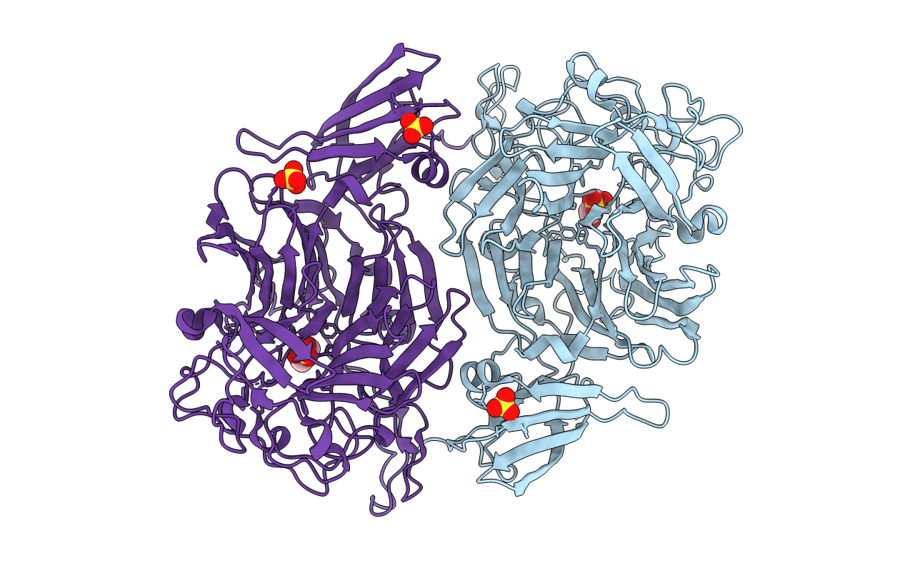 4P05 image