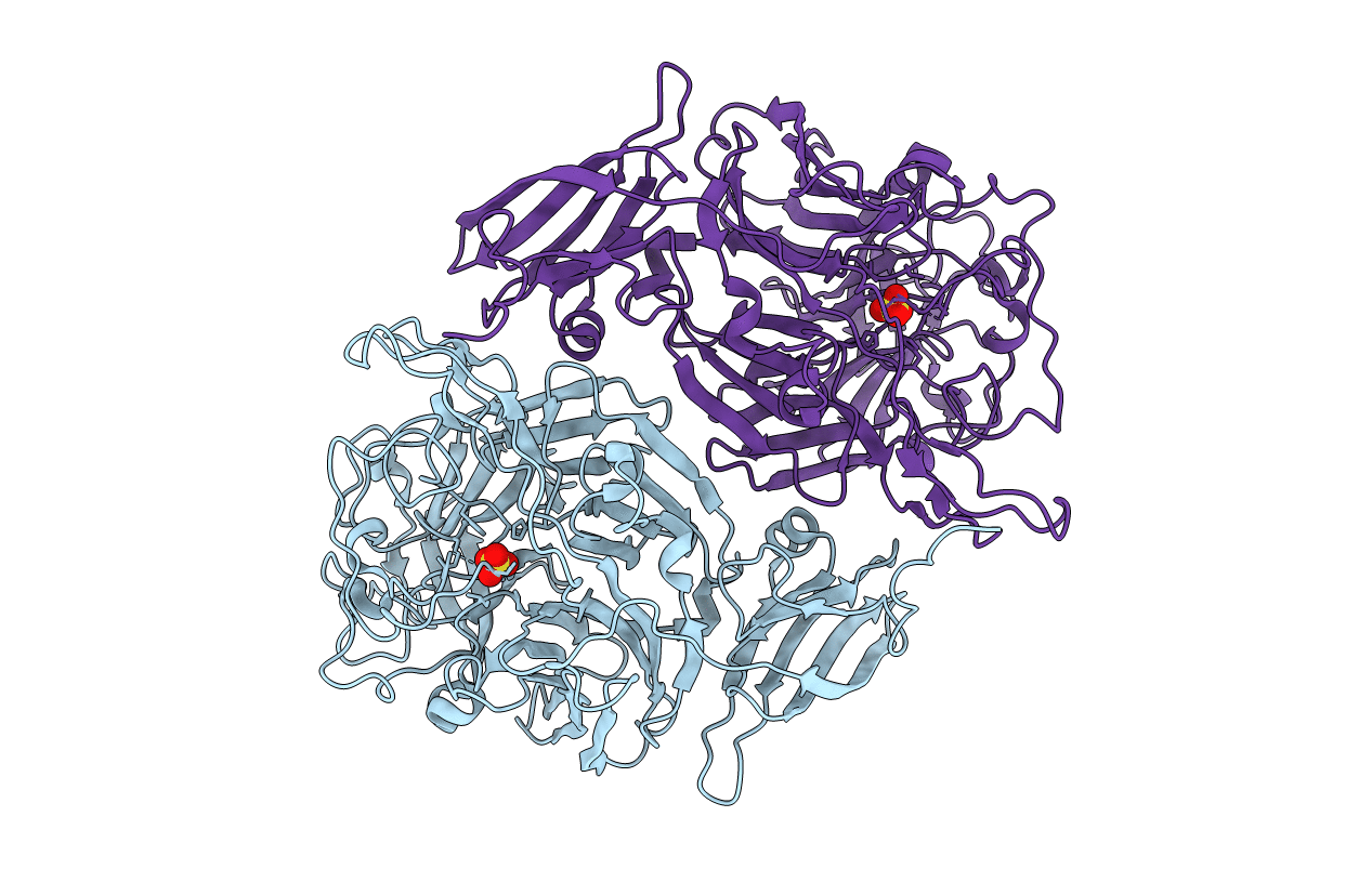 4P07 image