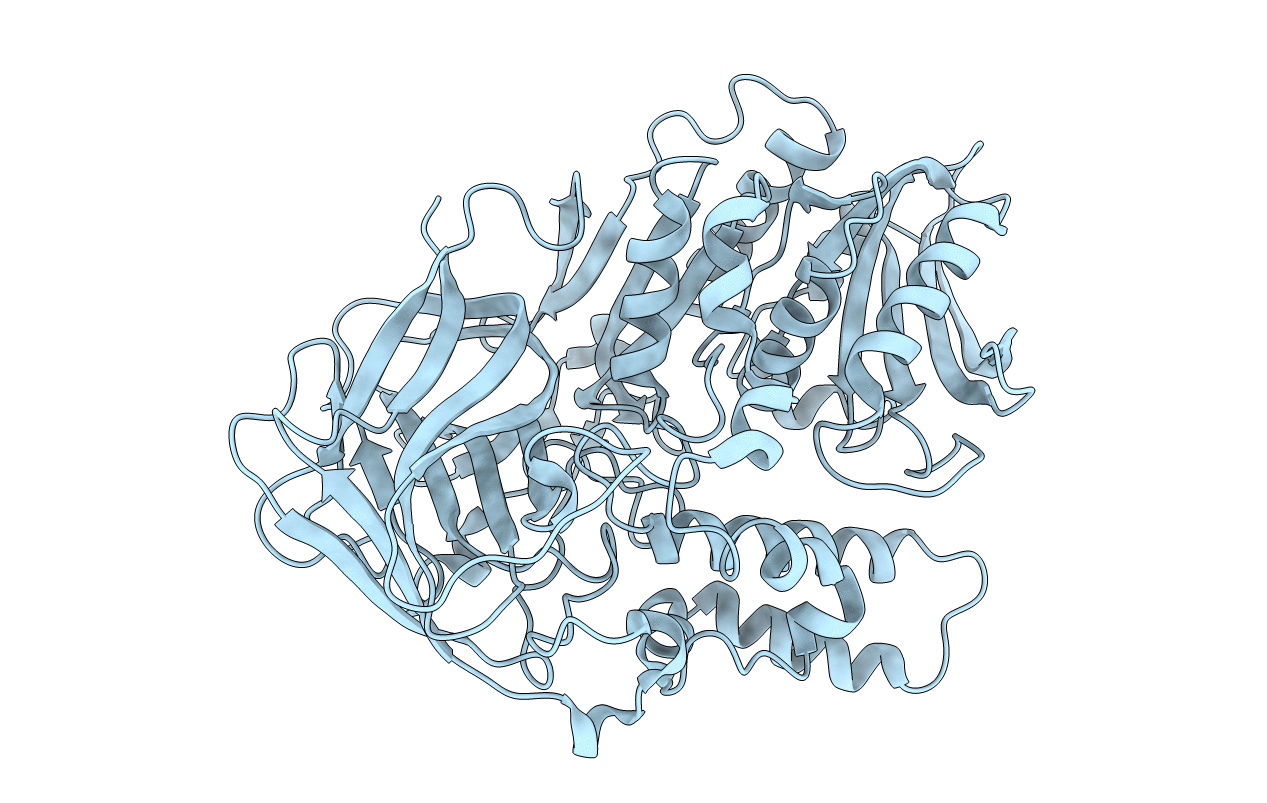 4P08 image
