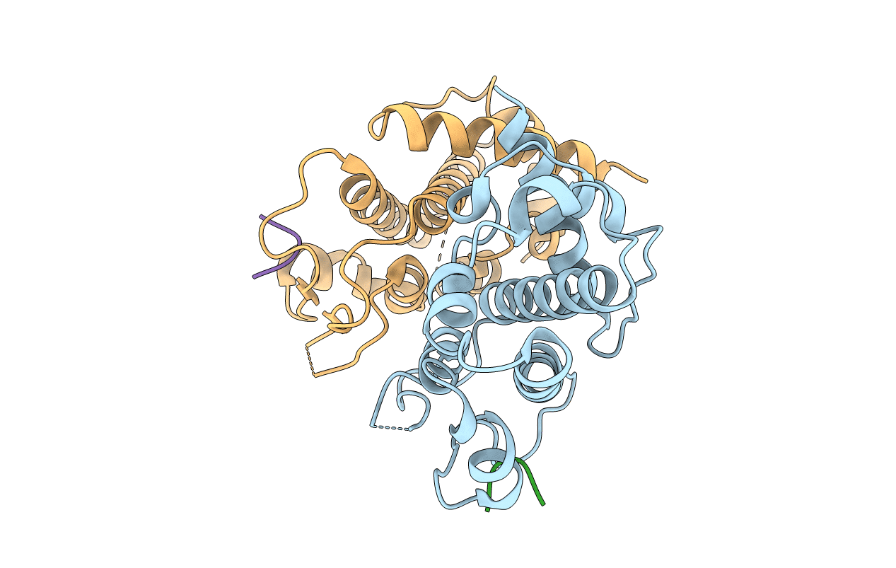 4P0B image