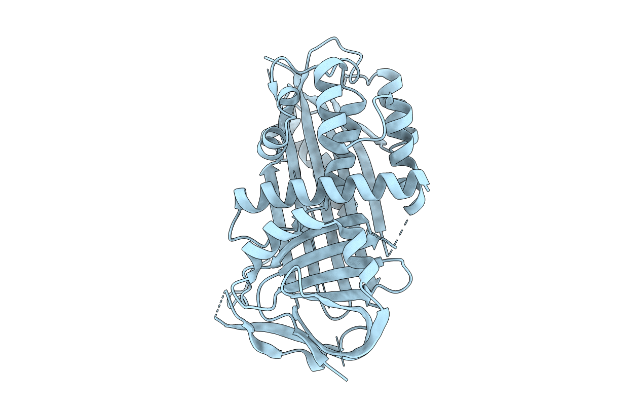 4P0F image
