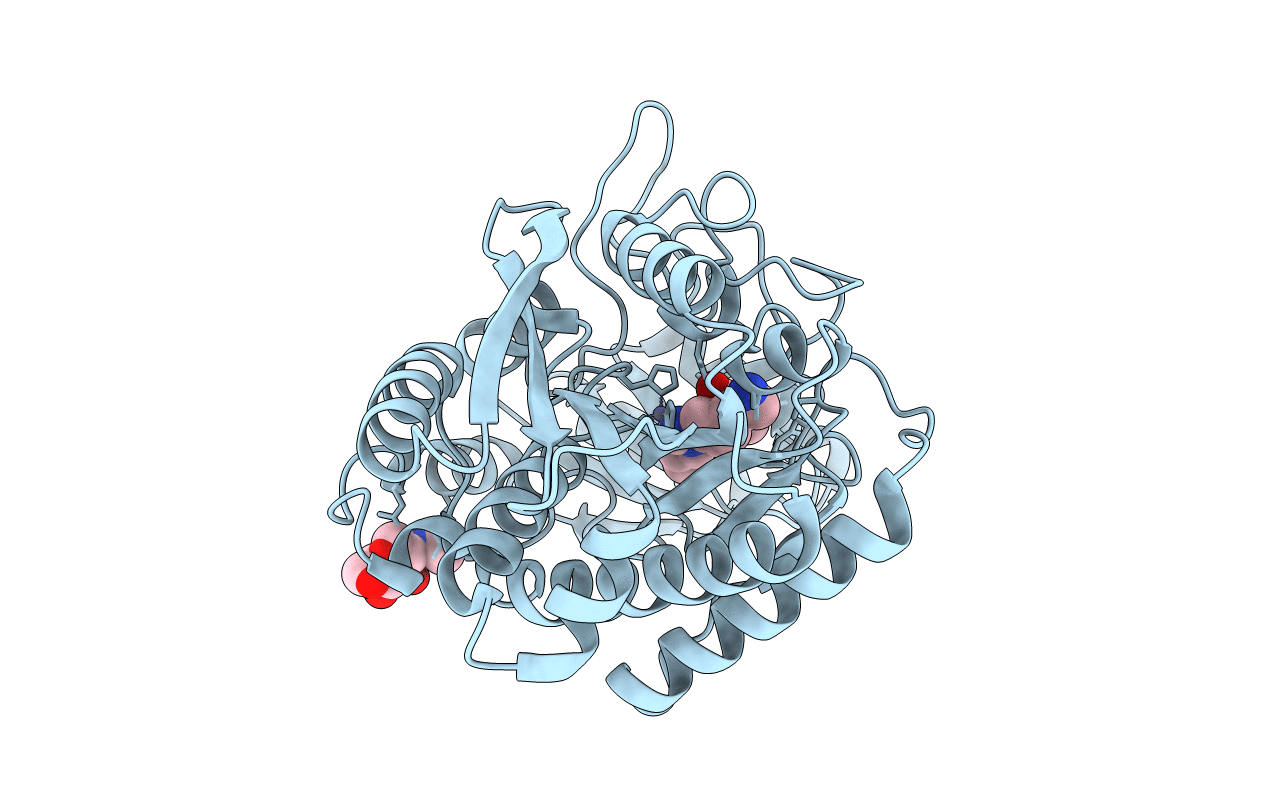 4P10 image
