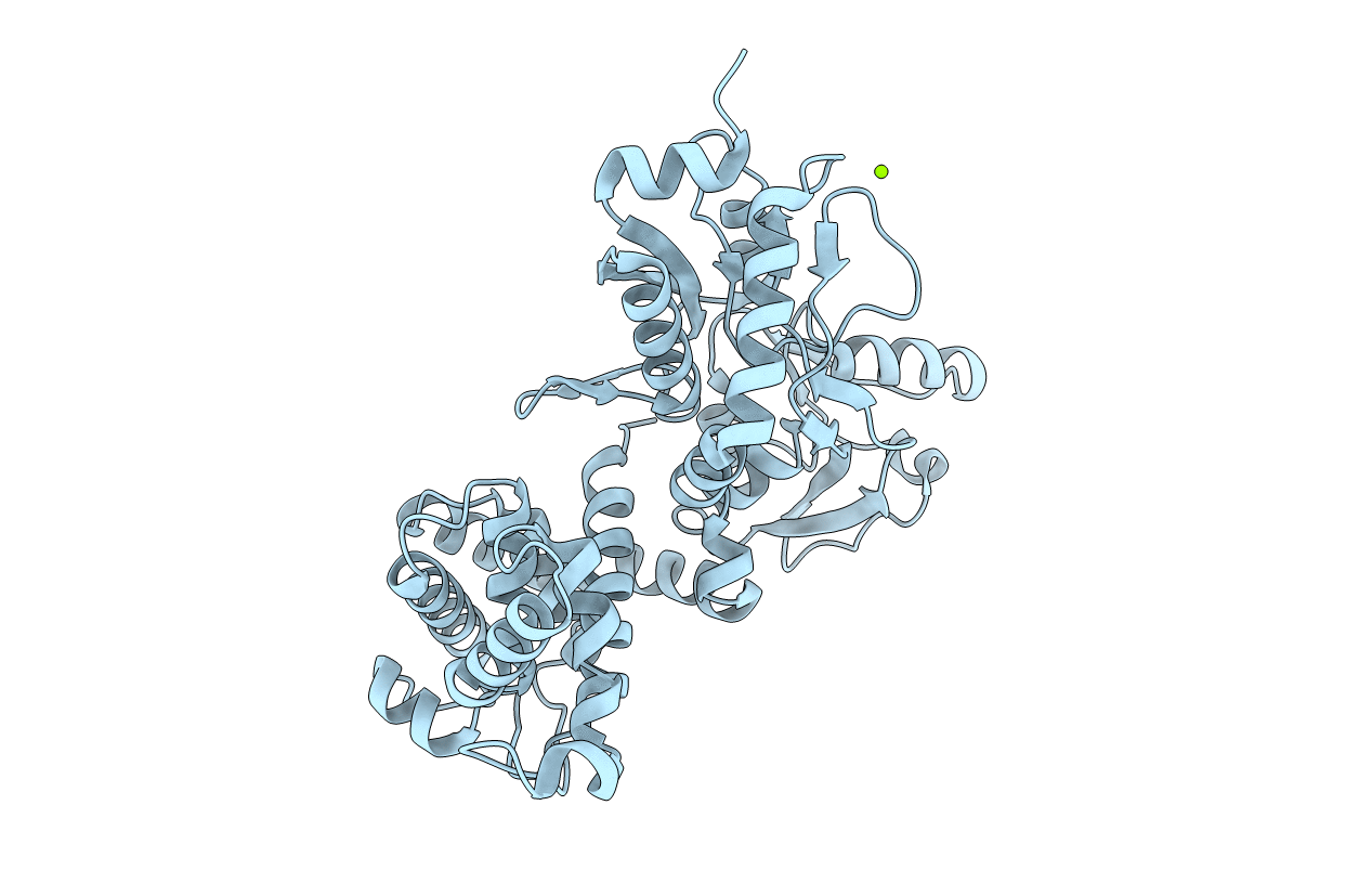 4P11 image
