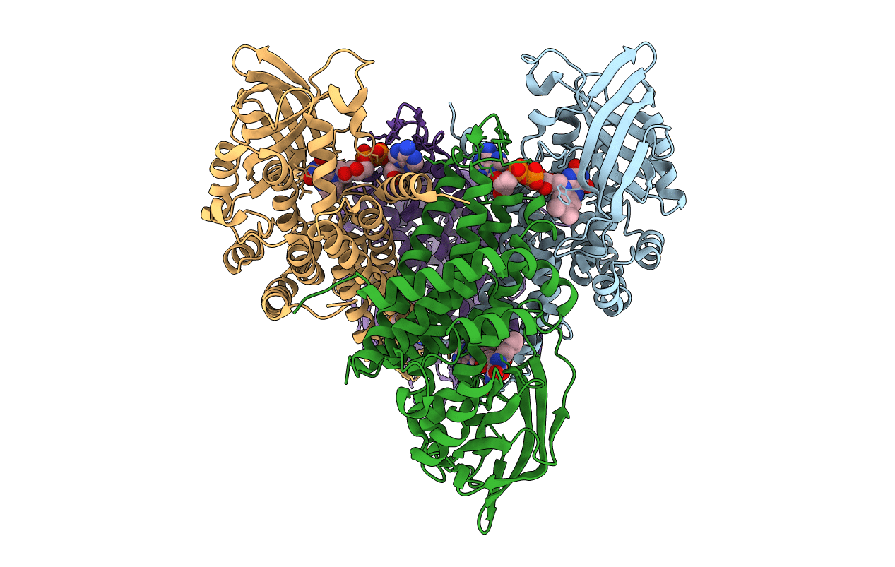 4P13 image