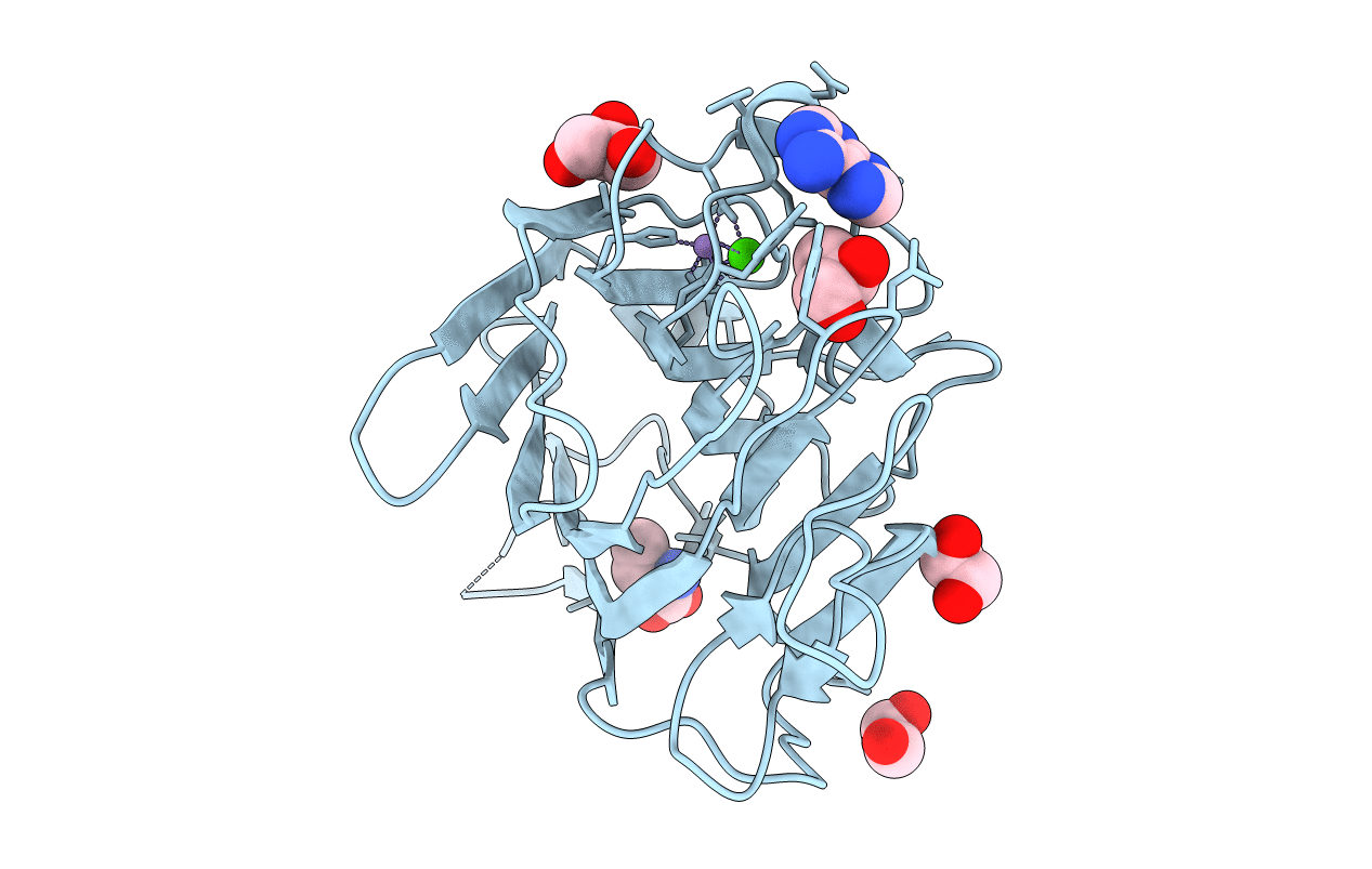 4P14 image