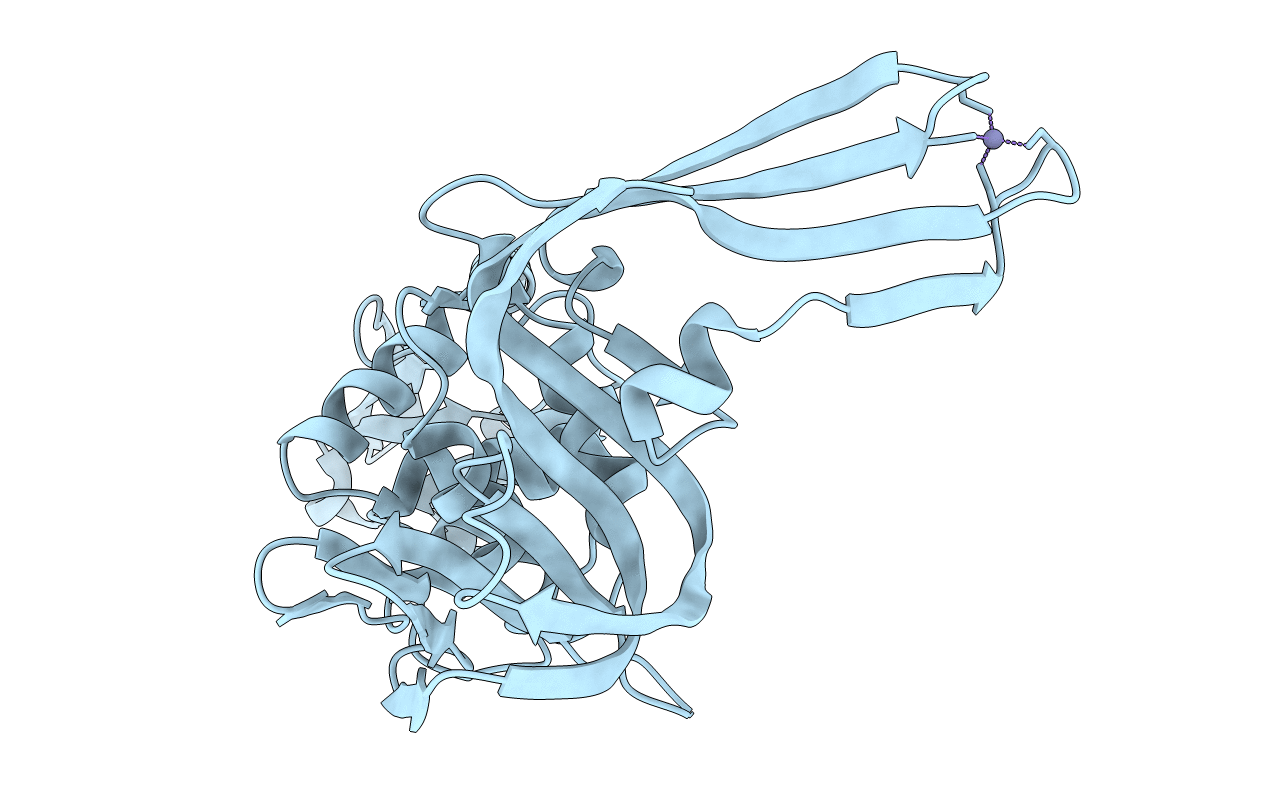 4P16 image