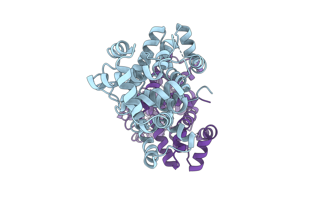 4P17 image