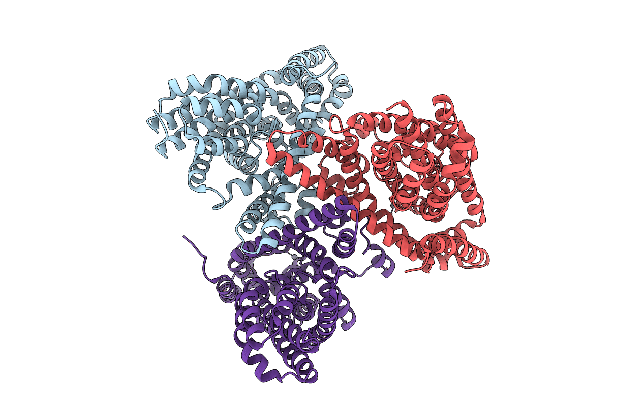 4P19 image