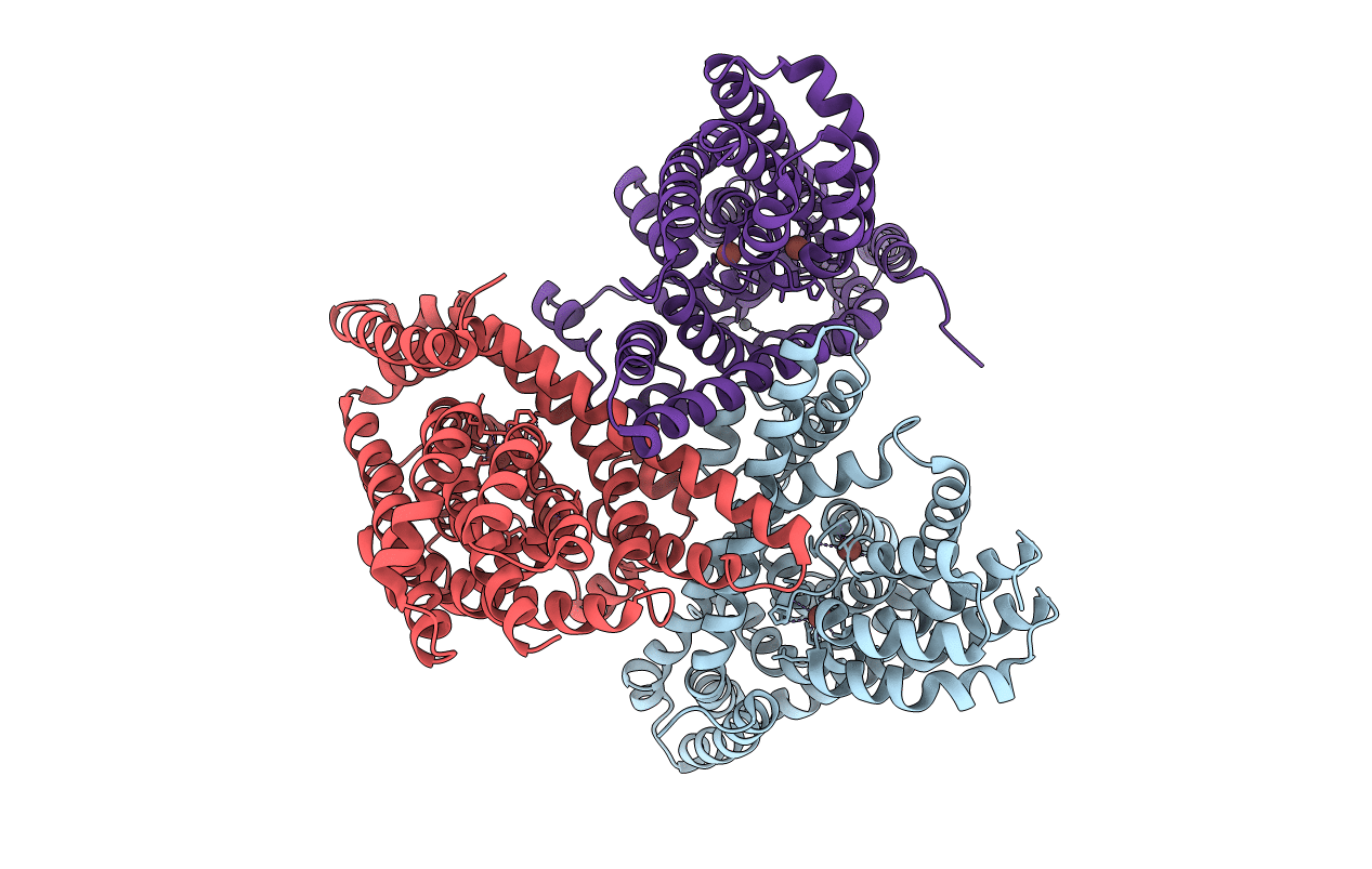 4P1A image