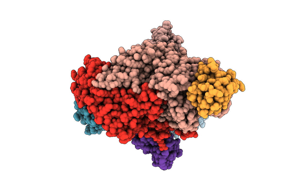 4P1C image