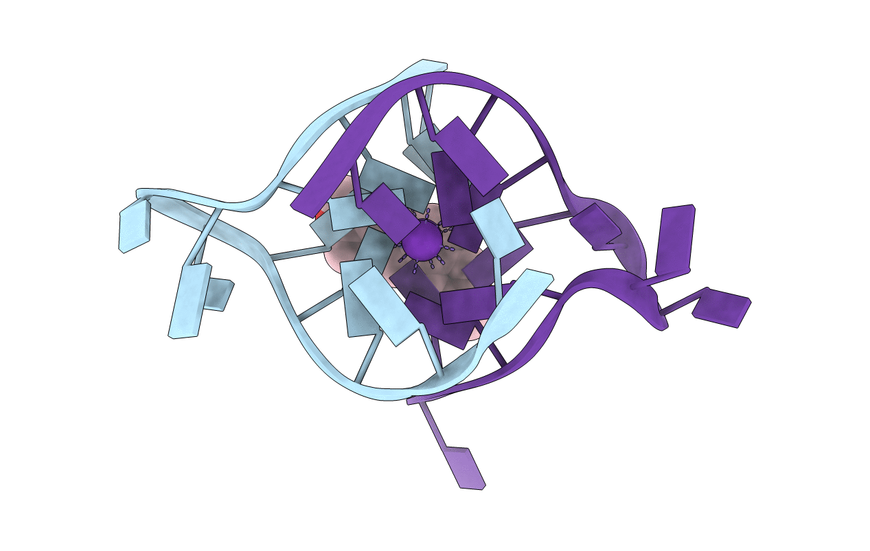 4P1D image