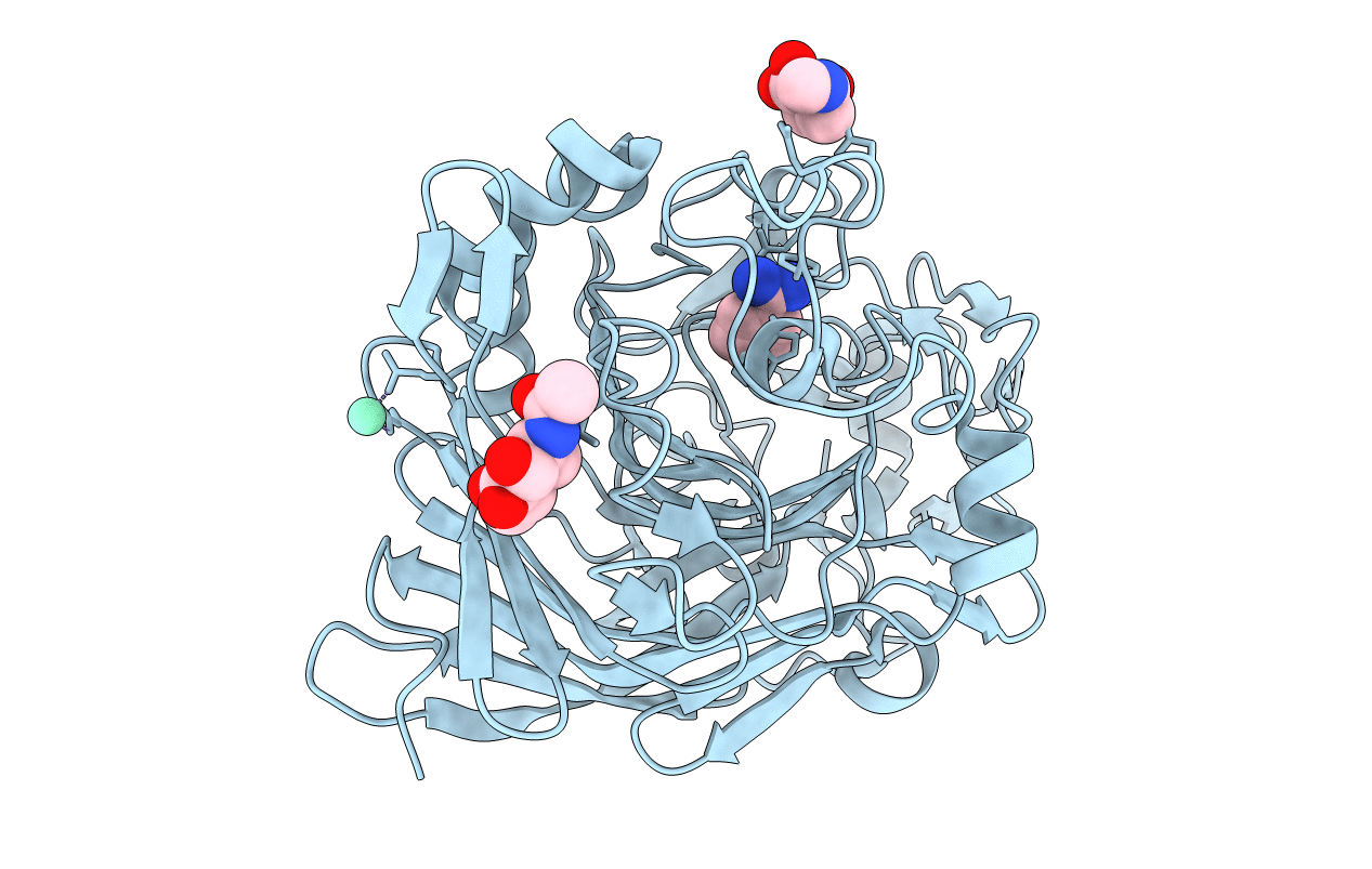 4P1H image