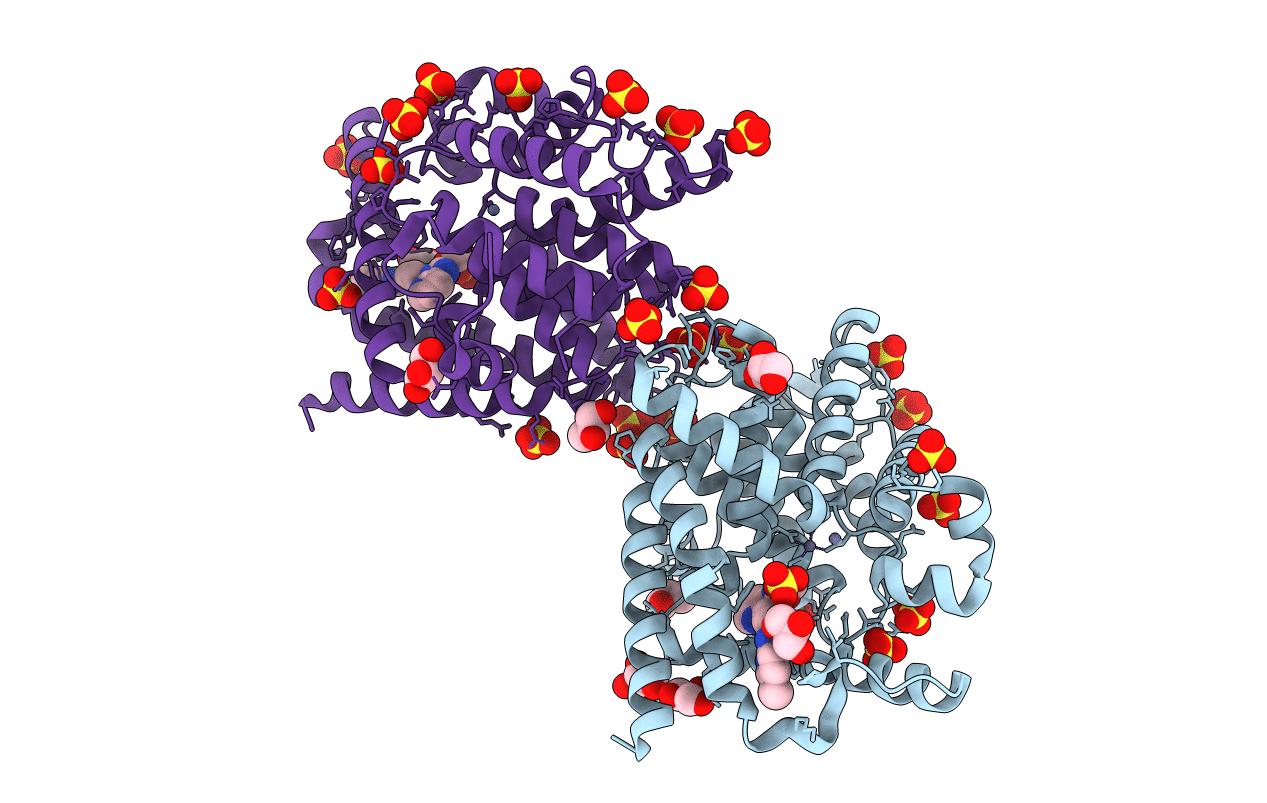 4P1R image