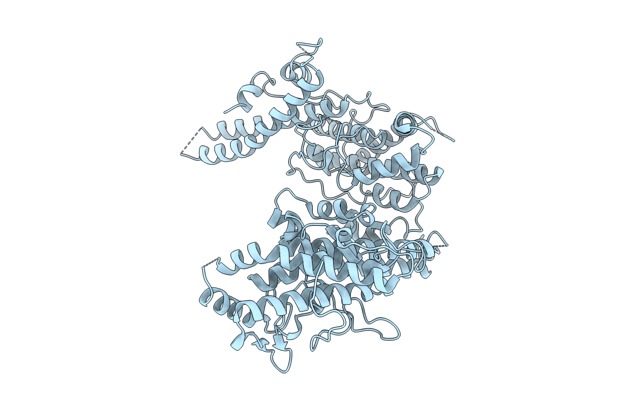4P1T image