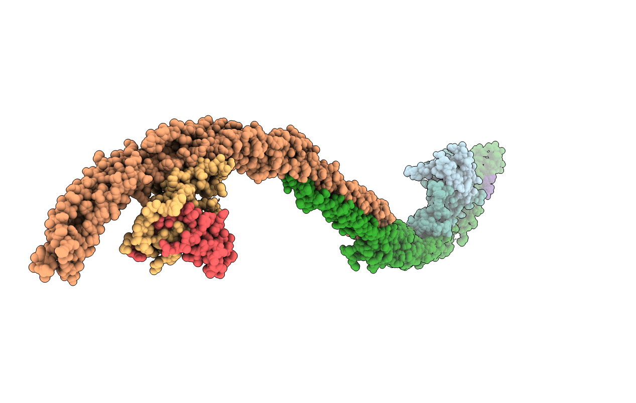 4P1W image