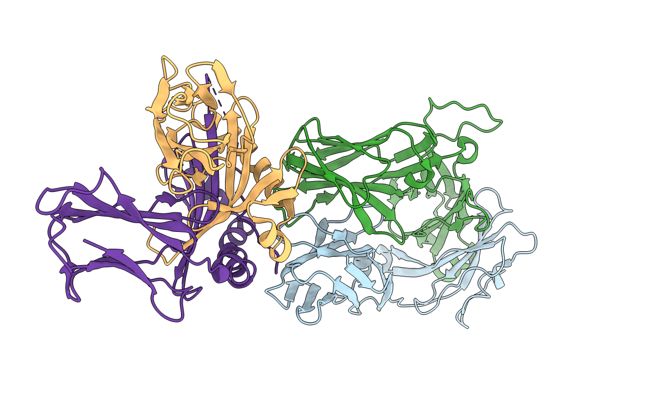4P23 image
