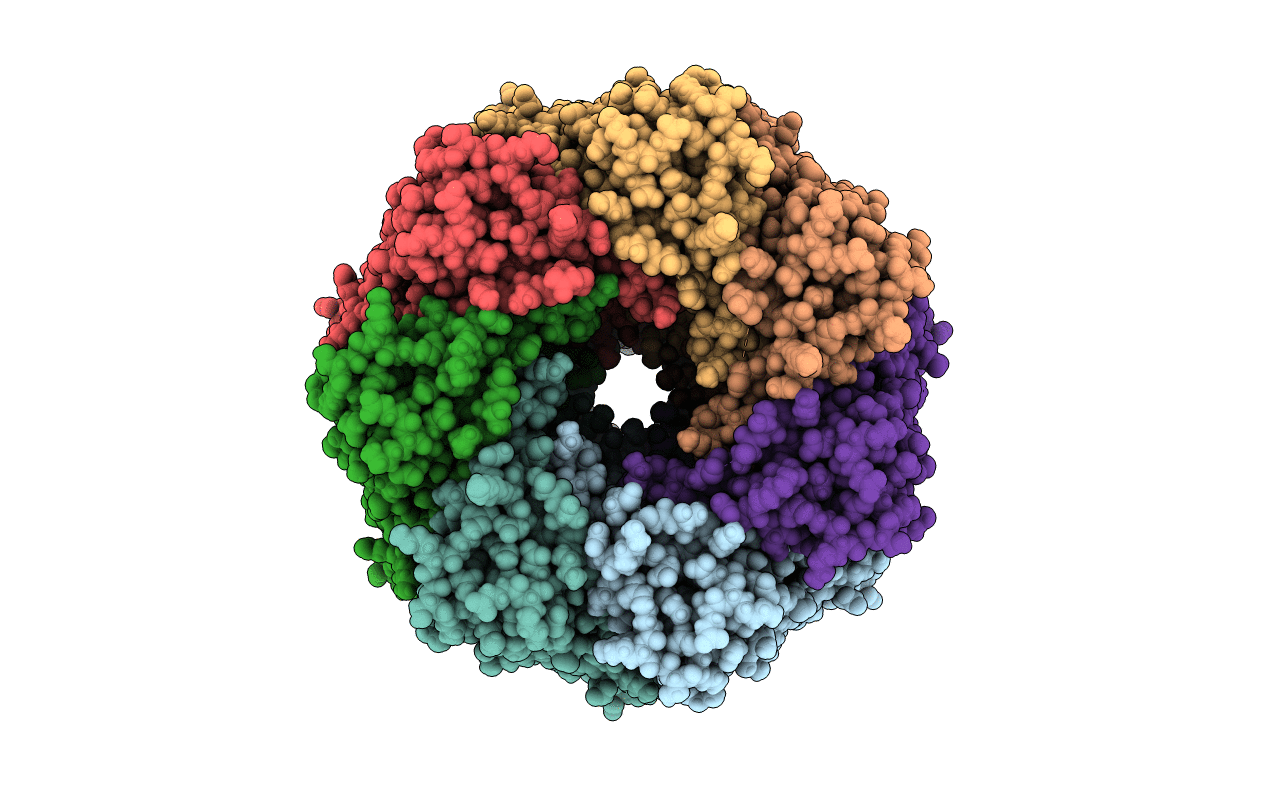 4P24 image