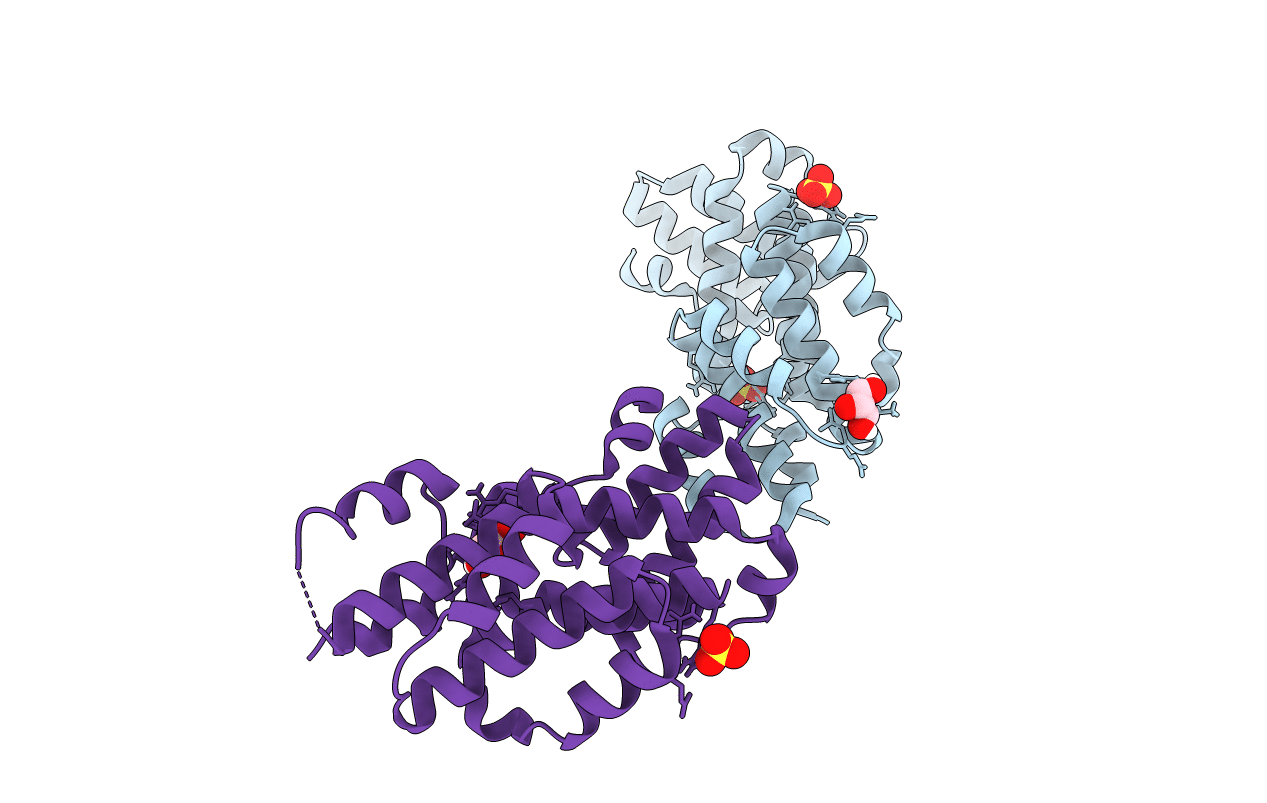4P29 image